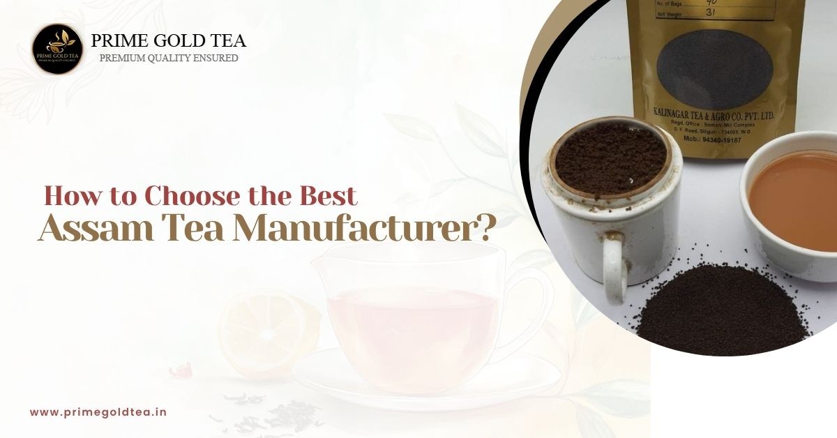 How To Choose The Best Assam Tea Manufacturer?